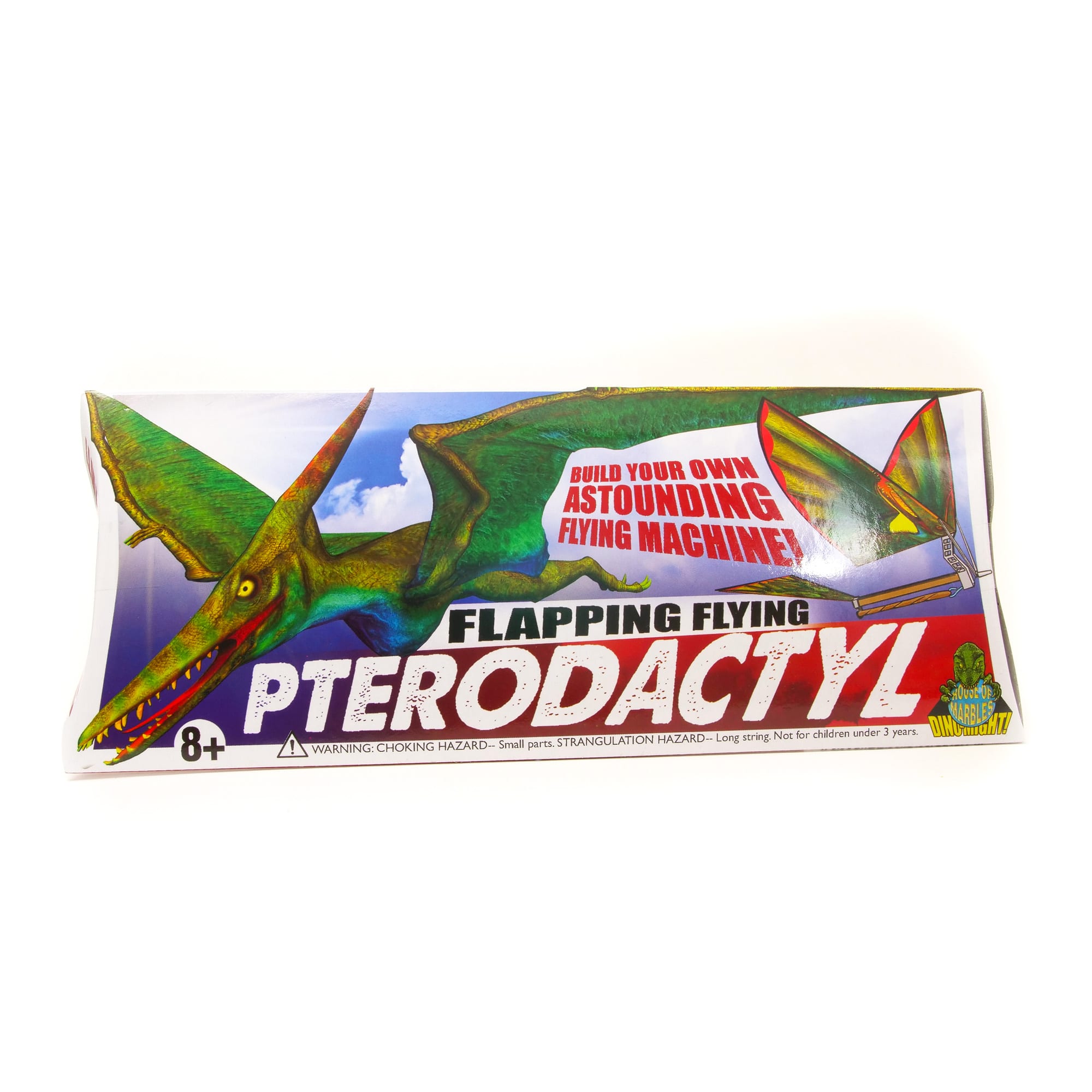 Mini Pterodactyl Dinosaur Kite Childrens Outdoor Toy 