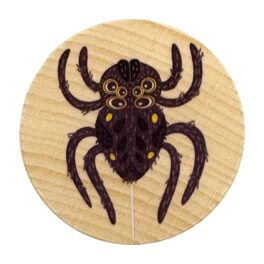 Wooden Insect Yo-Yo - Spider