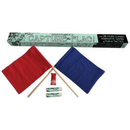 Adventurer Capture the Flag! Game