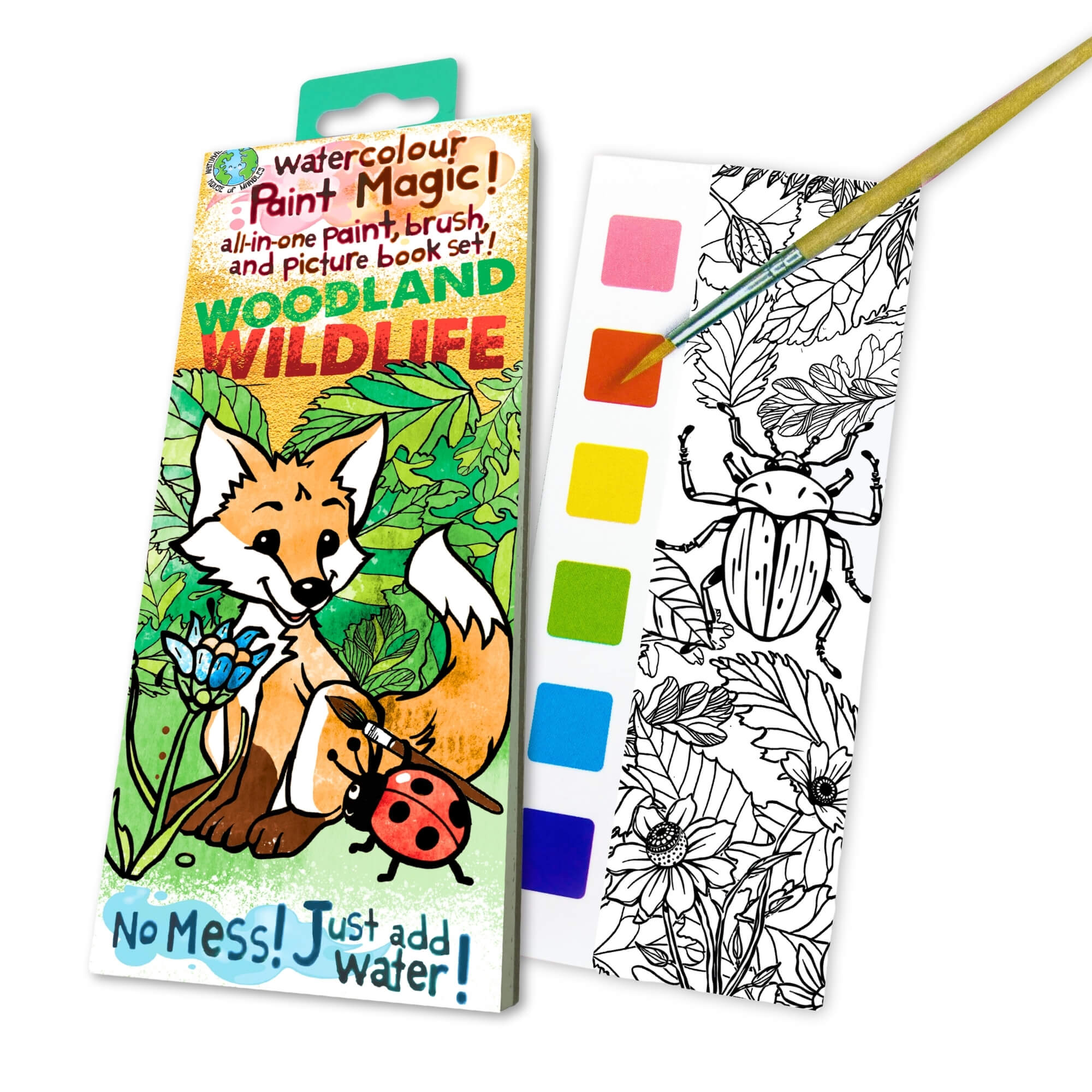 Paint Magic - Woodland Wildlife